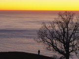 Sunset over Pacific  Oak Tree and Person Silhouetted