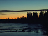 Sunset Behind Evergreen Trees