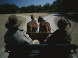 A Carriage Pulled by Two Horses Approaches a Fork in the Road