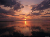 A Sunset in Los Llanos  Venezuela