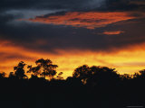 A Sunset Sets the Sky on Fire Near Borneos Menanggul River