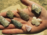 Arrowheads Unearthed from a Hunting Site