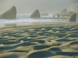 Beach with Dunes and Seastack Rocks Near Pistol River