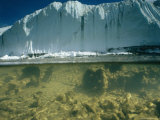 Split Level View of a Glacier and Underwater Algae in Green Creek