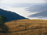 A Cyclist Rides in a Meadow Above a Fog Shrouded Valley