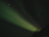 The Aurora Borealis Glows Brightly over the Mackenzie River