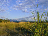 Hills Loom in the Distance on a Grassland under a Cloud Sprinkled Sky