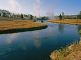 An American Bison Standing in the Firehole River Near Steaming Geysers