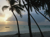Fishing Boats Anchored off a Beach in the Fishing Village of Bwejuu