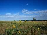 A View of Devils Tower from Across a Hay Field