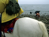 Horseback Riding Near Bohai Sea  Qinhuangdao  Hebei Province  China