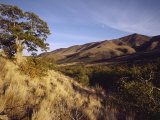 Scenic View of the Yakima Valley Landscape