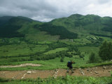 A Hiker on a Ben Nevis Trail