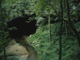 Elevated View of the Cave