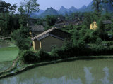 Yangdi Valley Farm Fields  Guilin  Guangxi  China