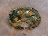 This Golden Ornament Found in the Moche Tomb was a Sign of the Elite