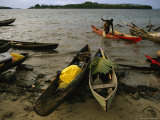 Wooden Canoes Lay Beached on the Shore  a Man Pulls Another Canoe onto the Shore