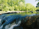 Waterfalls on the Eno River Passing Through a Hardwood Forest