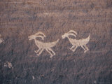 Indian Petroglyphs Depicting Bighorn Sheep