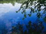 Clouds  Blue Sky and Green Maple Leaves Reflected in the James River