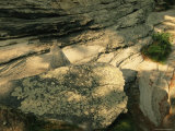 Quartzite  Metamorphosed Sandstone  at Base of Pilot Mountain