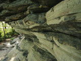 Quartzite  Metamorphosed Sandstone  at Base of Pilot Mountain