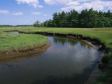 The Little River Winds Through Coastal Salt Marshes and Wetlands