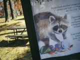A Sign Warning of the Dangers of Litter in a Picnic Area