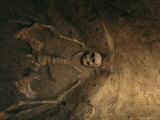 Skeletal Remains of Jamestown Colonist in Grave Unearthed by Archeologists