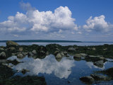 A Tidal Pool Reflects the Stark Beauty of Maines Rocky Coast