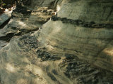 Quartzite  Metamorphosed Sandstone  at Base of Pilot Mountain