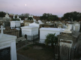 A View of the Above-The-Water-Table Crypts at the Saint Louis No 1 Cemetery