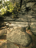 Quartzite  Metamorphosed Sandstone  at Base of Pilot Mountain