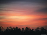 Sunset in the Everglades