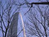 View of the Gateway Arch Through Leafless Tree Branches