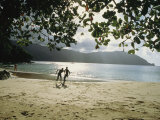 People Frolic on a Man O War Bay Beach
