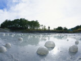 Gaseous Bubbles on the Surface of a Hot Spring on the Uzon Caldera