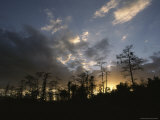 Sunset in the Everglades