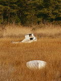 Watermens Boats and a Great Blue Heron in a Cordgrass Salt Marsh