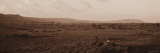 Cheetah Resting on the Plains of Masai Mara National Reserve