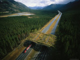 Overpass for Grizzlies and Other Wildlife Spans an Alberta Highway