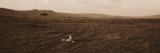 Cheetah Resting on the Plains of Masai Mara National Reserve