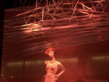 Mannequin Poses in a Store Window