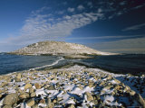 The East Side of Baffin Island Covered by the First Snow of the Year