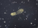 Painted Outline of a Footprint on the Street