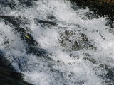 The Splash of a Cascading Waterfall in Jefferson National Forest