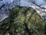 Greenstone Rock Covered with Lichens on Thunder Ridge