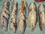 Dried Fish for Sale in Zhouzhong  Chinas Venice