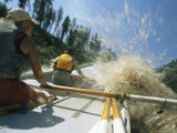 Whitewater Dory Boating on the Salmon River in Idaho