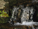 Cascading Waterfall in Jefferson National Forest